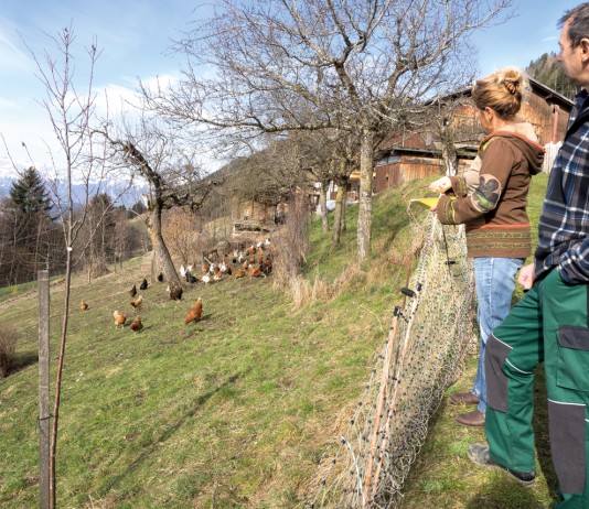 Vielfalt statt Vollgas