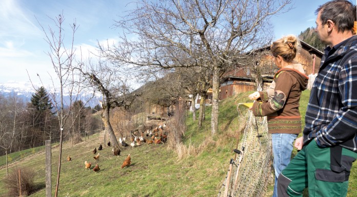 Vielfalt statt Vollgas