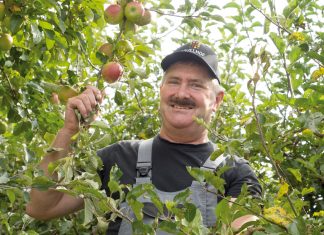 „Wir brauchen einen regionalen Hof-Laden“ Christoph Mähr vom Bovelhof.
