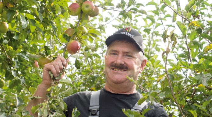 „Wir brauchen einen regionalen Hof-Laden“ Christoph Mähr vom Bovelhof.