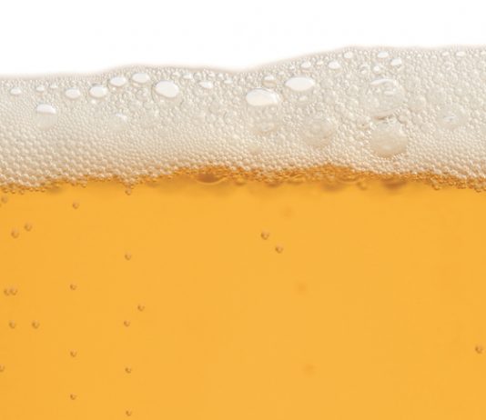 Die Craft des Bieres