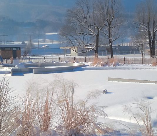 Walgaubad: Hohe Vorgaben für 2017