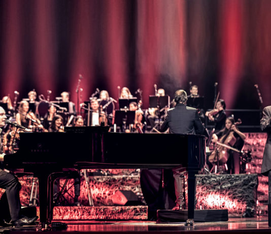 Pecoraro & Pecoraro: Wir wollen das Publikum tief berühren Mario und Herwig Pecoraro in concert