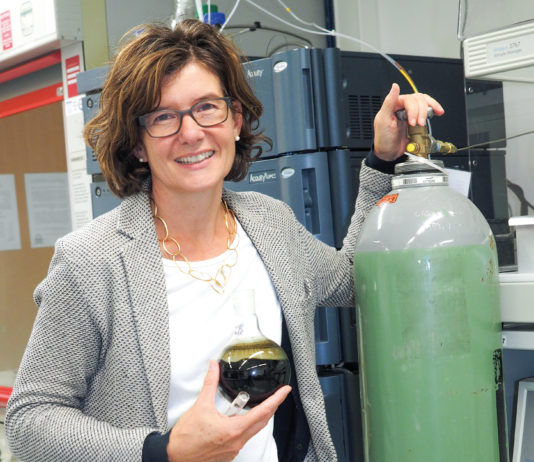 Judith Rollinger – Von einer, die auszog, um den Dingen auf den Grund zu gehen