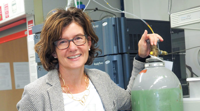 Judith Rollinger – Von einer, die auszog, um den Dingen auf den Grund zu gehen