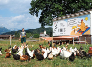 „Mobile Home” für 240 Hühner