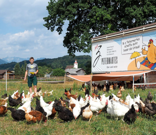 „Mobile Home” für 240 Hühner