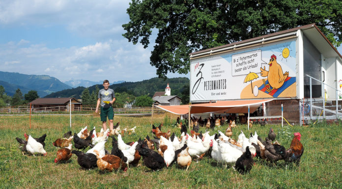 „Mobile Home” für 240 Hühner