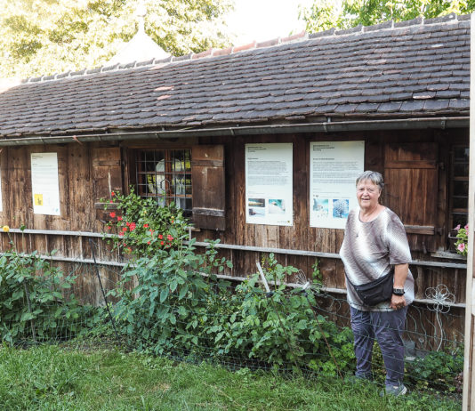 Ein Museum für die Honigbiene