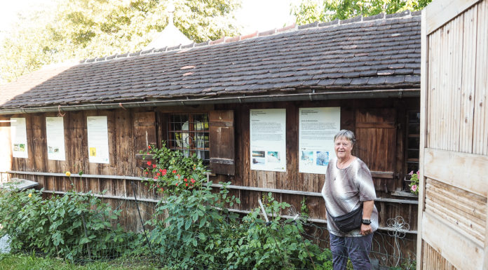 Ein Museum für die Honigbiene