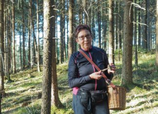 Sporensuche im Göfner Wald