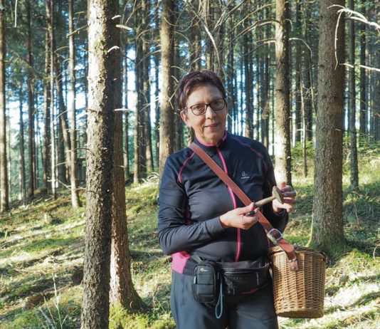 Pilzvielfalt im Göfner Wald
