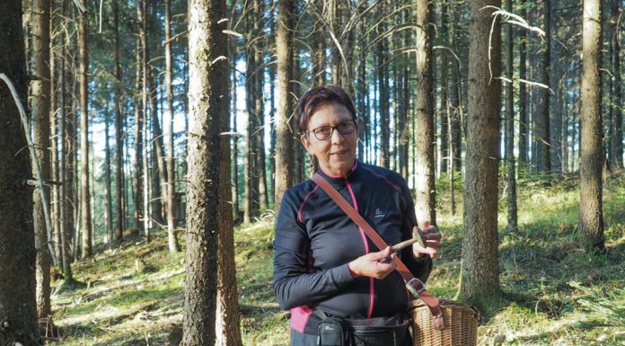 Pilzvielfalt im Göfner Wald