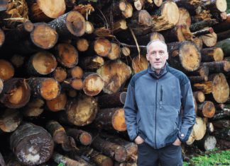 Waldwirtschaft und Käferwehr