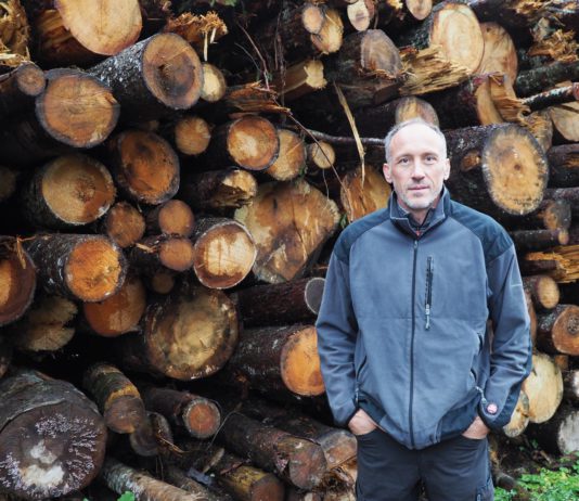 Waldwirtschaft und Käferwehr