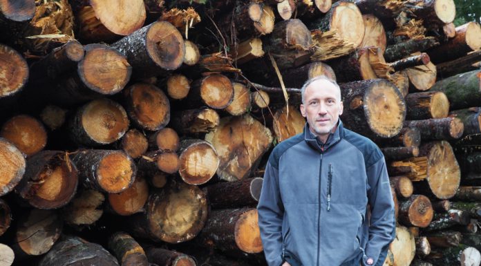 Waldwirtschaft und Käferwehr