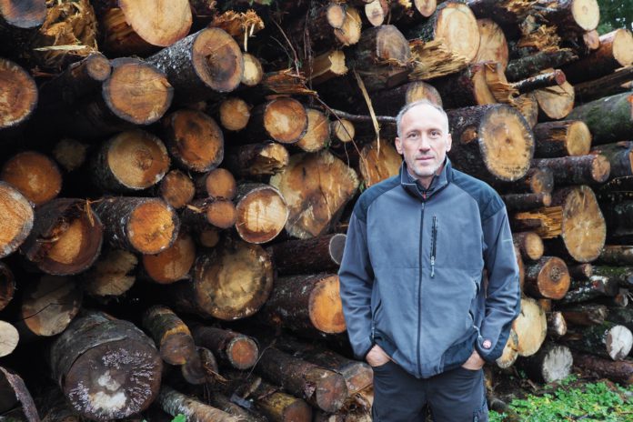 Waldwirtschaft und Käferwehr