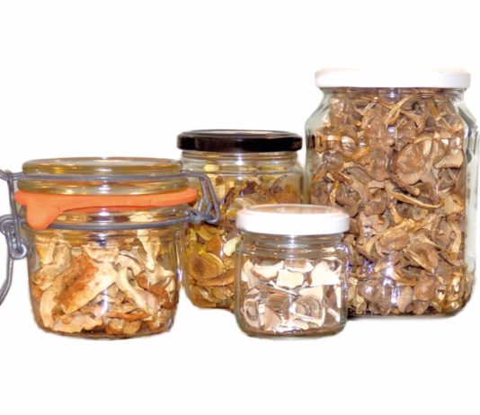 Konservieren von Pilzen