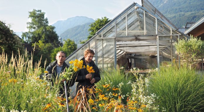 Grüner Daumen für Nachhaltigkeit