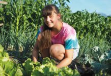 Reiche Ernte für die Gemeinschaft