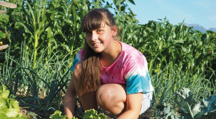 Reiche Ernte für die Gemeinschaft