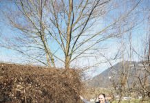 Faul sein für die Vielfalt