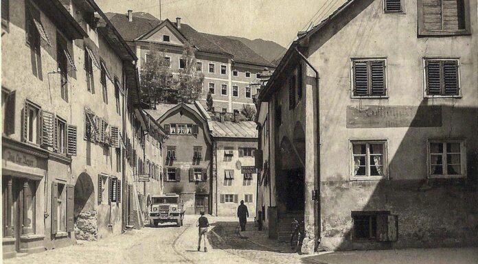 Die Elektro-Familie Neyer