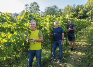 Abwarten an der Walgauer Weinstraße