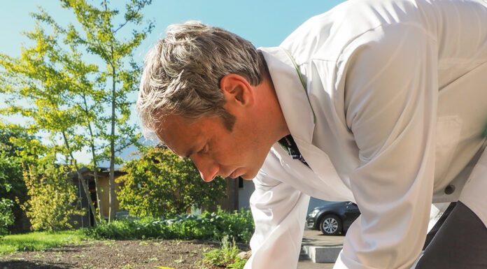 Aus dem Arzneischrank der Natur