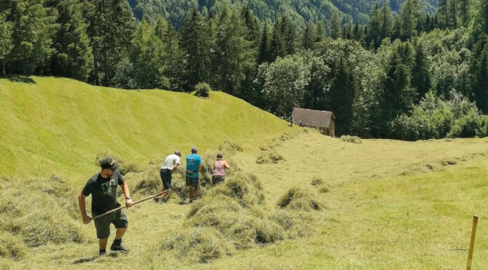 Einsatz für die Vielfalt
