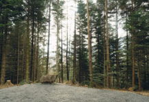 Letzte Ruhestätte mitten in der Natur