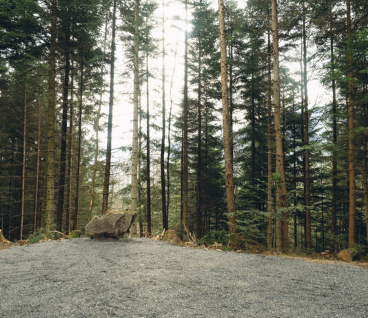 Letzte Ruhestätte mitten in der Natur