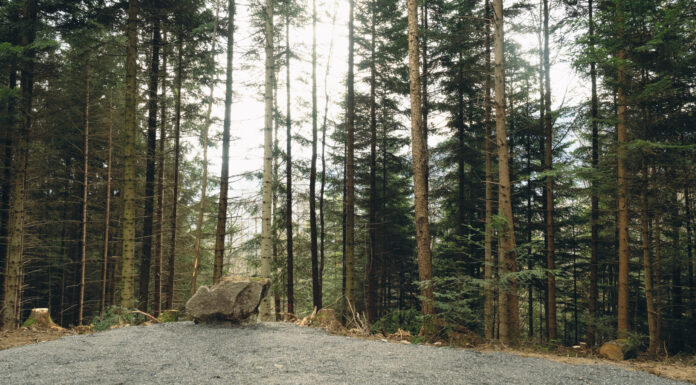 Letzte Ruhestätte mitten in der Natur