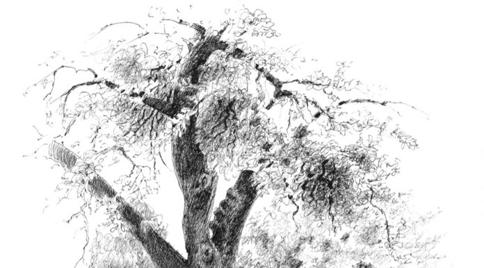 Klang und Bild in perfekter Harmonie