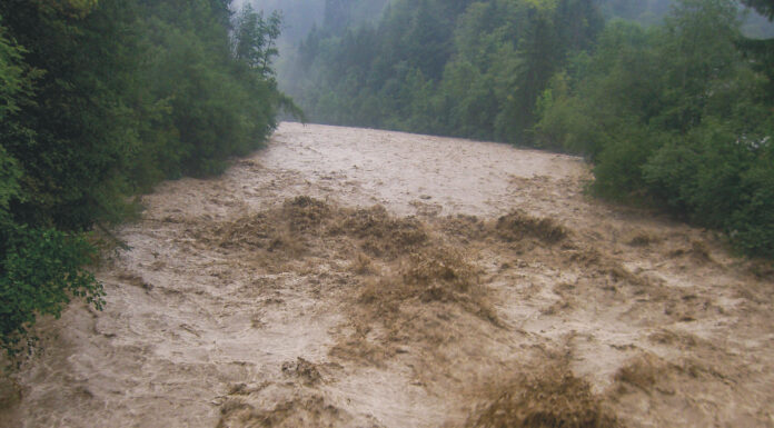 Wer mag sich erinnern?