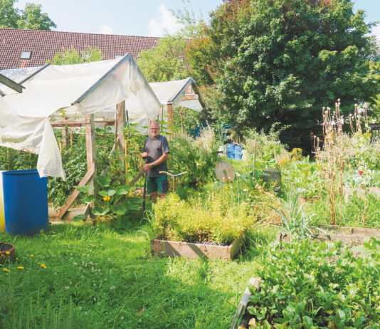 Tausendsassa mit kreativen Talenten