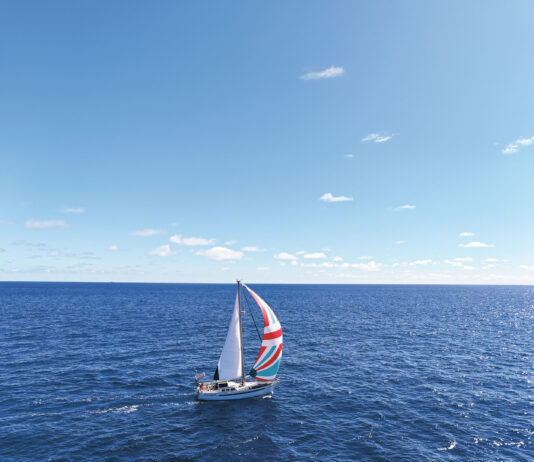 Seebär aus den Bergen