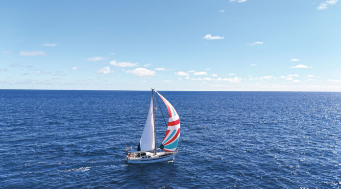 Seebär aus den Bergen