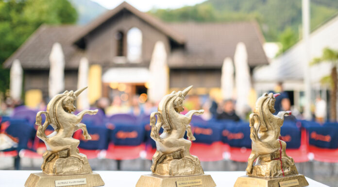 Run auf das „Goldene Einhorn”