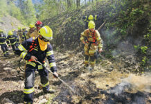 Waldbrand-Truppe Bings-Stallehr