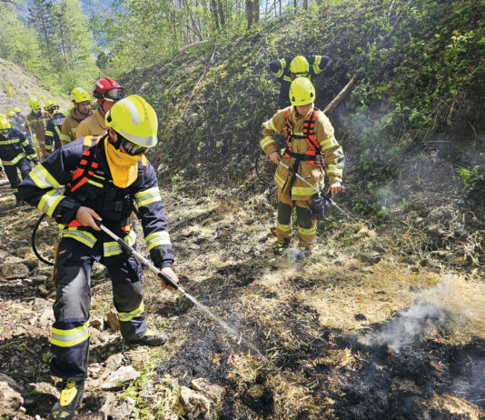 Waldbrand-Truppe Bings-Stallehr