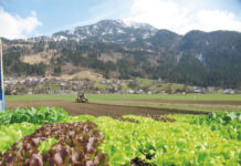 Tag des Feldes: Einblick in den Alltag eines Vorzeige-Biobetriebes