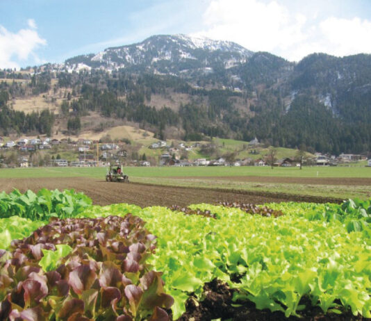 Tag des Feldes: Einblick in den Alltag eines Vorzeige-Biobetriebes