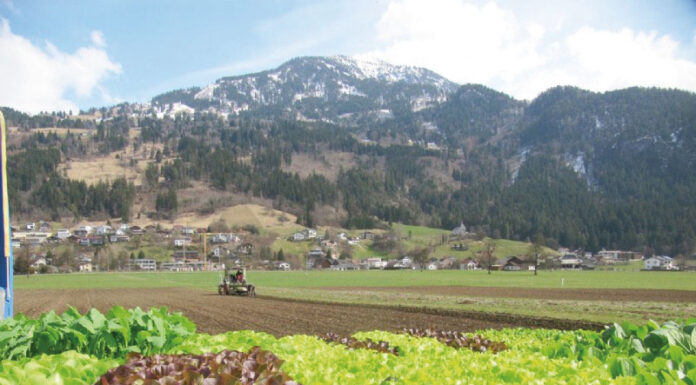Tag des Feldes: Einblick in den Alltag eines Vorzeige-Biobetriebes