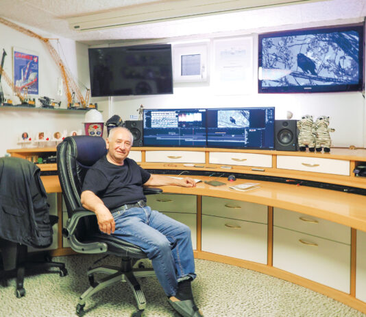 Mafia-Alarm in Bludenz