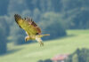 Besuch aus Afrika