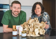 Pilze für ein nachhaltigeres Leben
