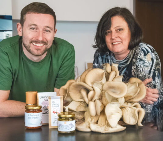 Pilze für ein nachhaltigeres Leben